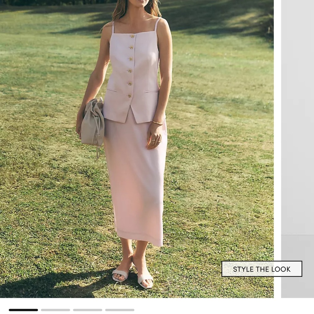 Ann Taylor Blush Skirt Set